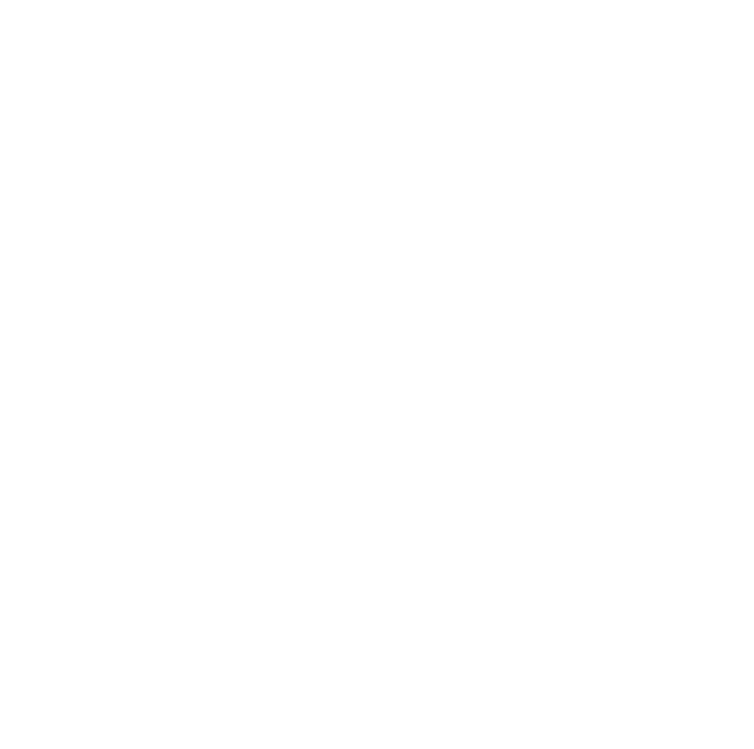 RMV Software